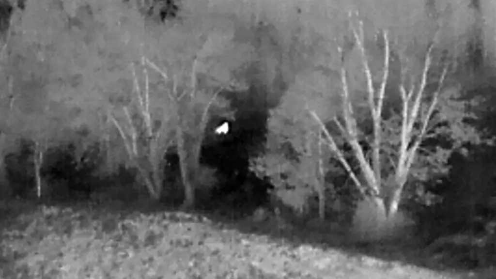 Find Pets with Thermal Imaging Drones